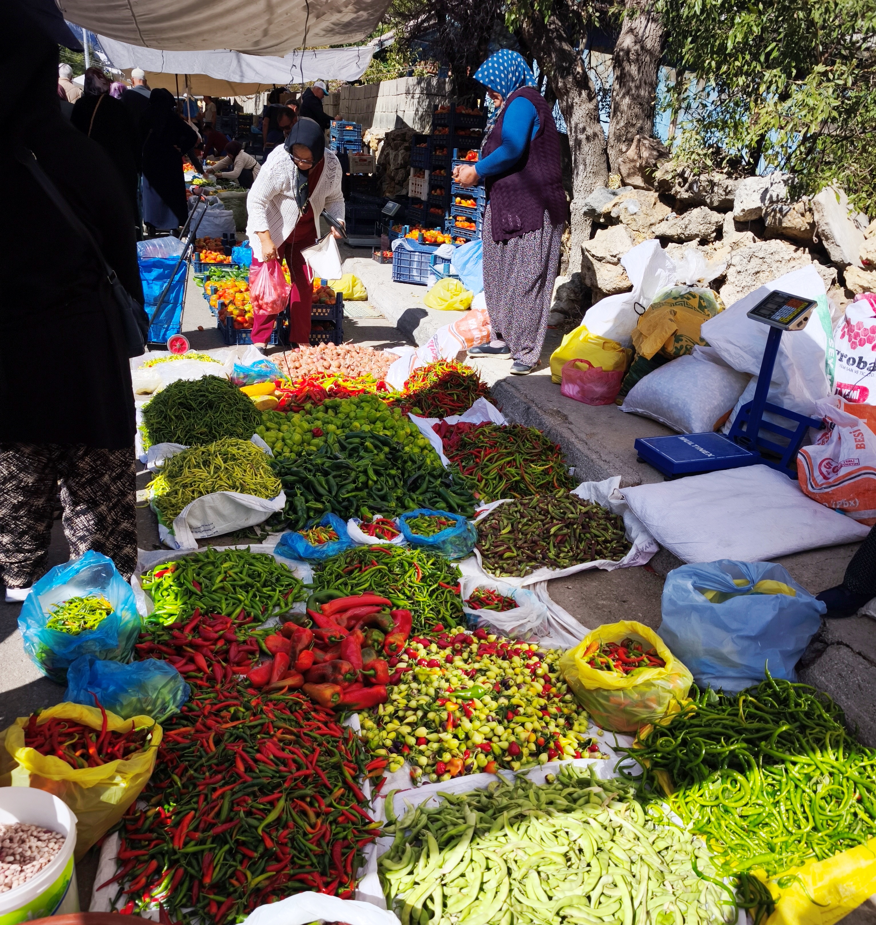  Seydişehir Perşembe Pazarı'nda Kışlık Yoğunluğu ve Turşuluk Fiyatları - Görsel 3