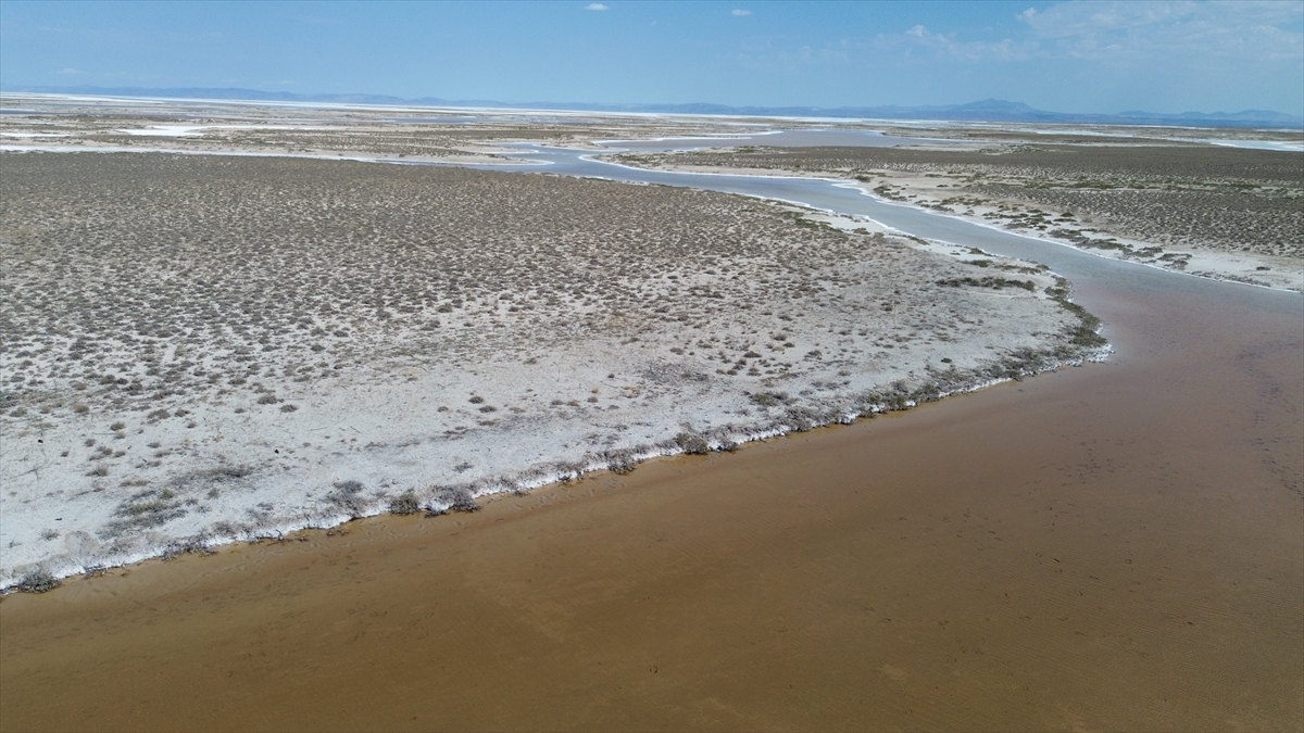 Tuz Gölü'nde yaşanan kuraklık biyolojik çeşitliliği de etkiliyor - Görsel 1