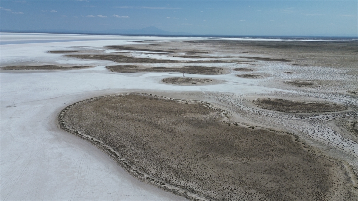 Tuz Gölü'nde yaşanan kuraklık biyolojik çeşitliliği de etkiliyor - Görsel 2