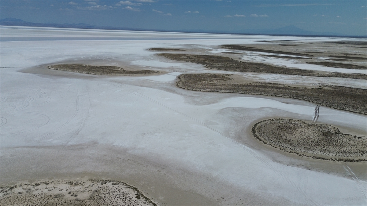 Tuz Gölü'nde yaşanan kuraklık biyolojik çeşitliliği de etkiliyor - Görsel 3
