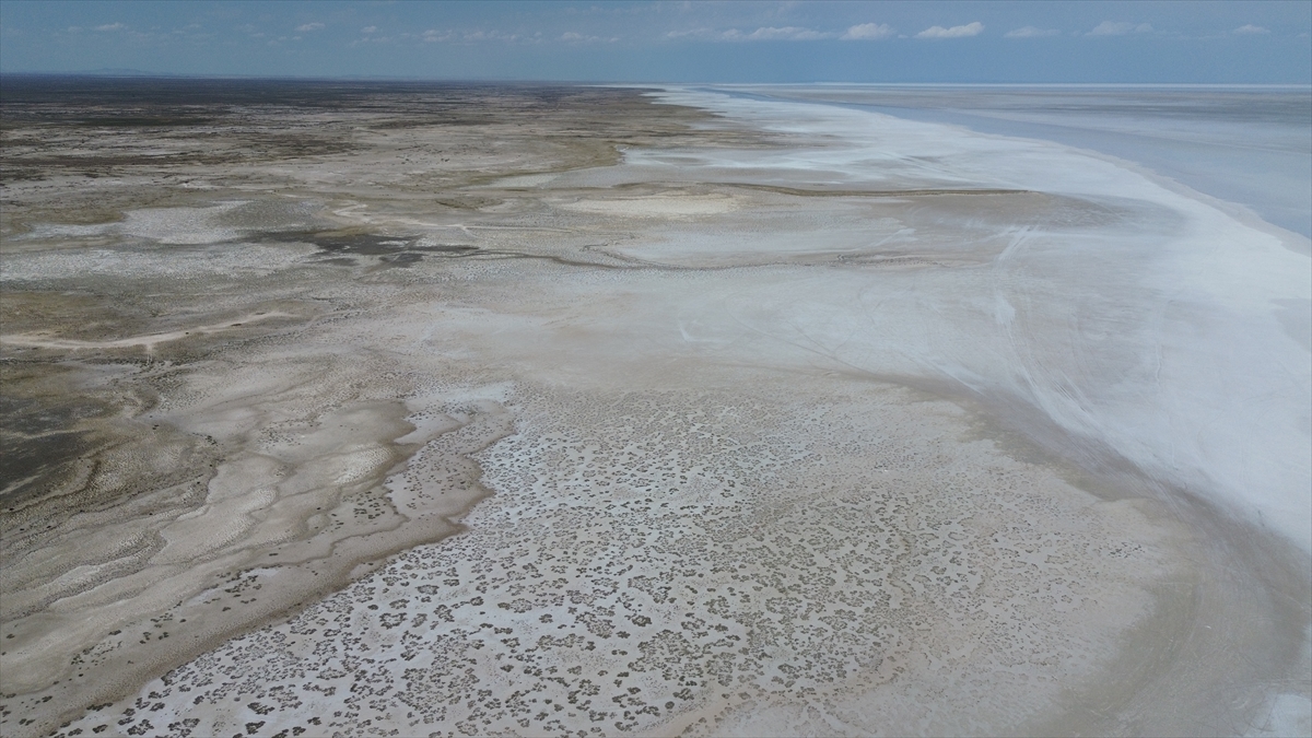 Tuz Gölü'nde yaşanan kuraklık biyolojik çeşitliliği de etkiliyor - Görsel 4