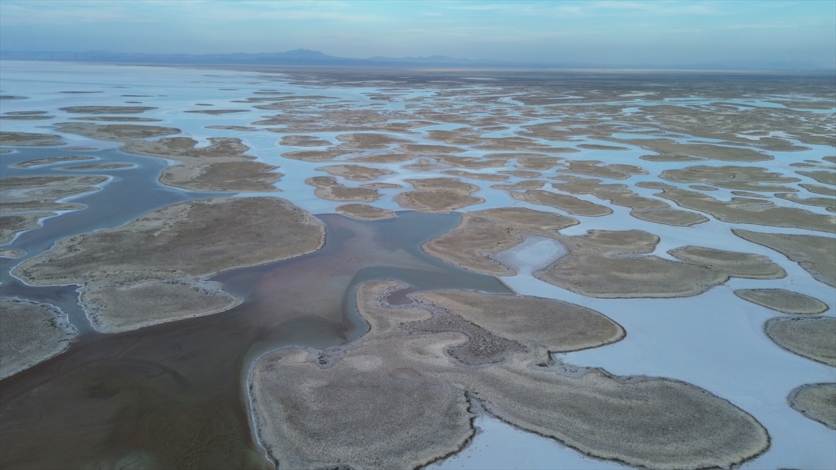 Tuz Gölü'nde yaşanan kuraklık biyolojik çeşitliliği de etkiliyor - Görsel 5
