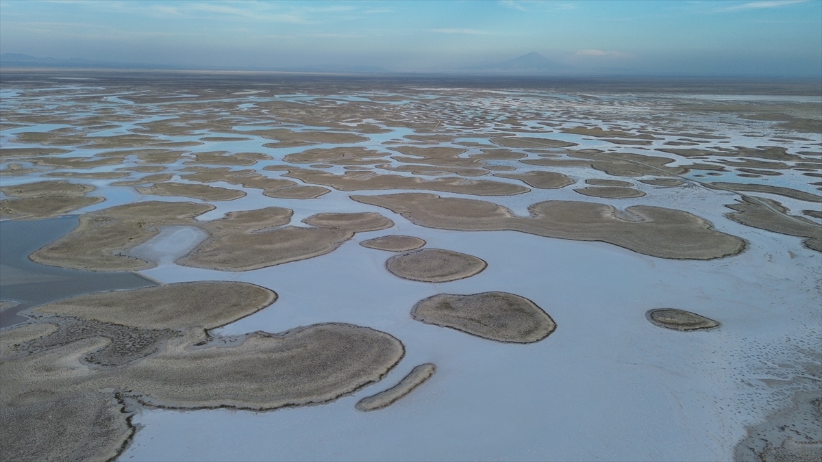 Tuz Gölü'nde yaşanan kuraklık biyolojik çeşitliliği de etkiliyor - Görsel 6