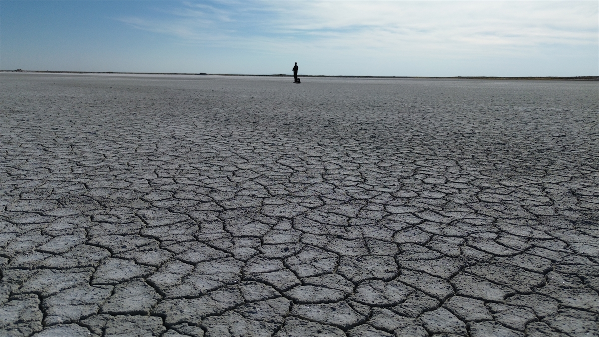 Tuz Gölü'nde yaşanan kuraklık biyolojik çeşitliliği de etkiliyor - Görsel 7