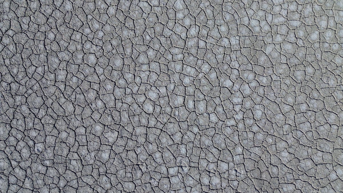 Tuz Gölü'nde yaşanan kuraklık biyolojik çeşitliliği de etkiliyor - Görsel 8