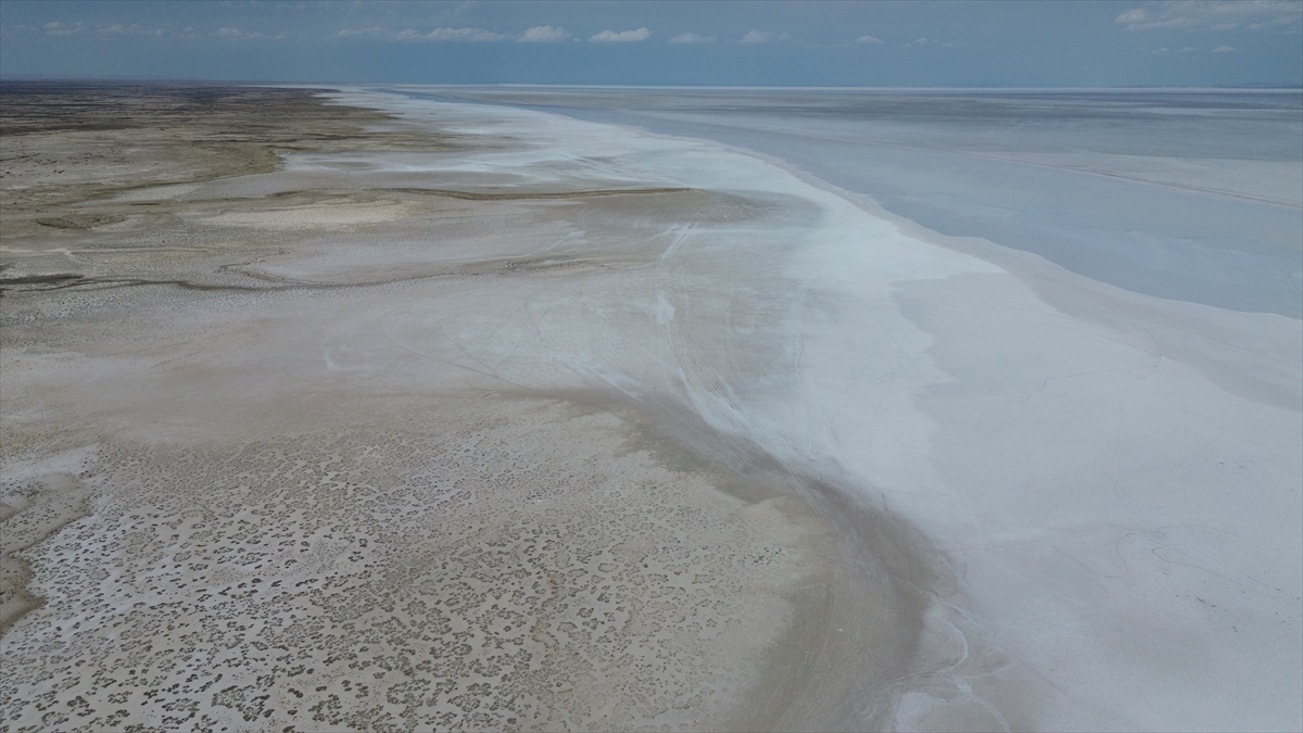 Tuz Gölü'nde yaşanan kuraklık biyolojik çeşitliliği de etkiliyor - Görsel 10