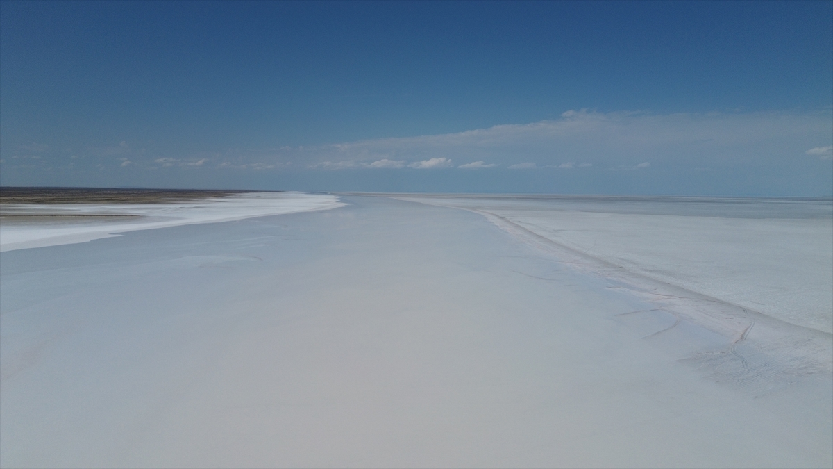 Tuz Gölü'nde yaşanan kuraklık biyolojik çeşitliliği de etkiliyor - Görsel 11