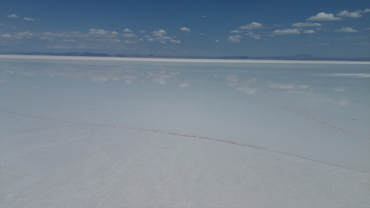 Tuz Gölü'nde yaşanan kuraklık biyolojik çeşitliliği de etkiliyor - Görsel 12