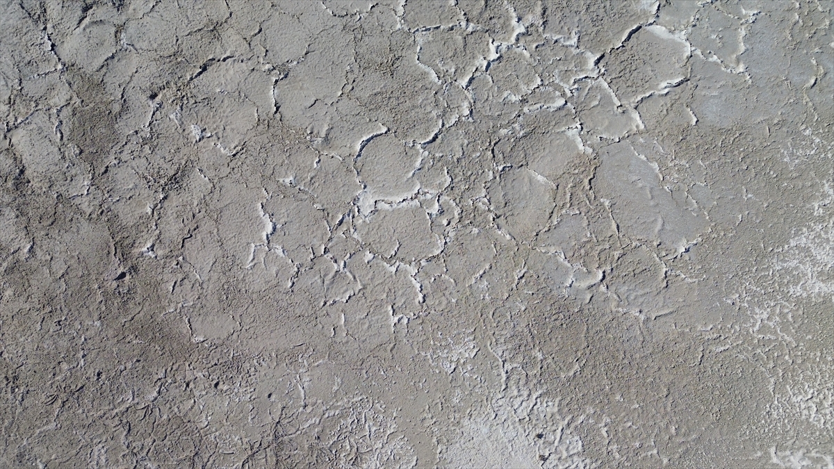 Tuz Gölü'nde yaşanan kuraklık biyolojik çeşitliliği de etkiliyor - Görsel 15