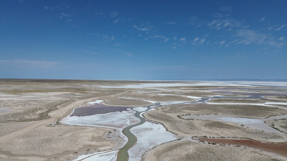 Tuz Gölü'nde yaşanan kuraklık biyolojik çeşitliliği de etkiliyor - Görsel 16