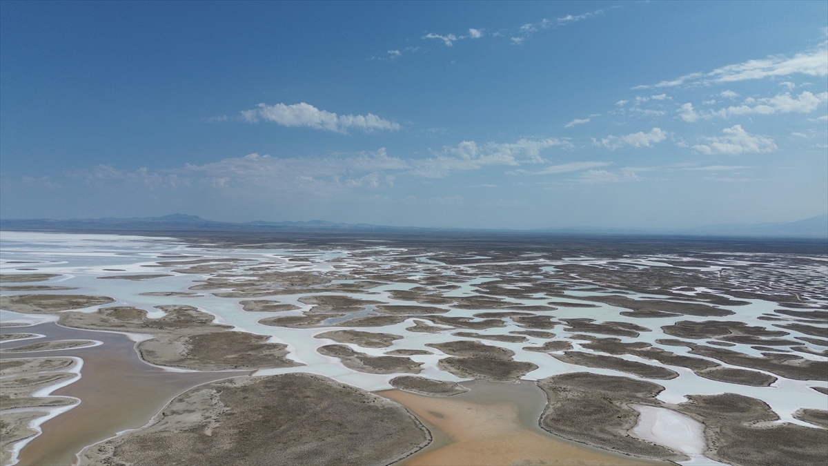 Tuz Gölü'nde yaşanan kuraklık biyolojik çeşitliliği de etkiliyor - Görsel 17