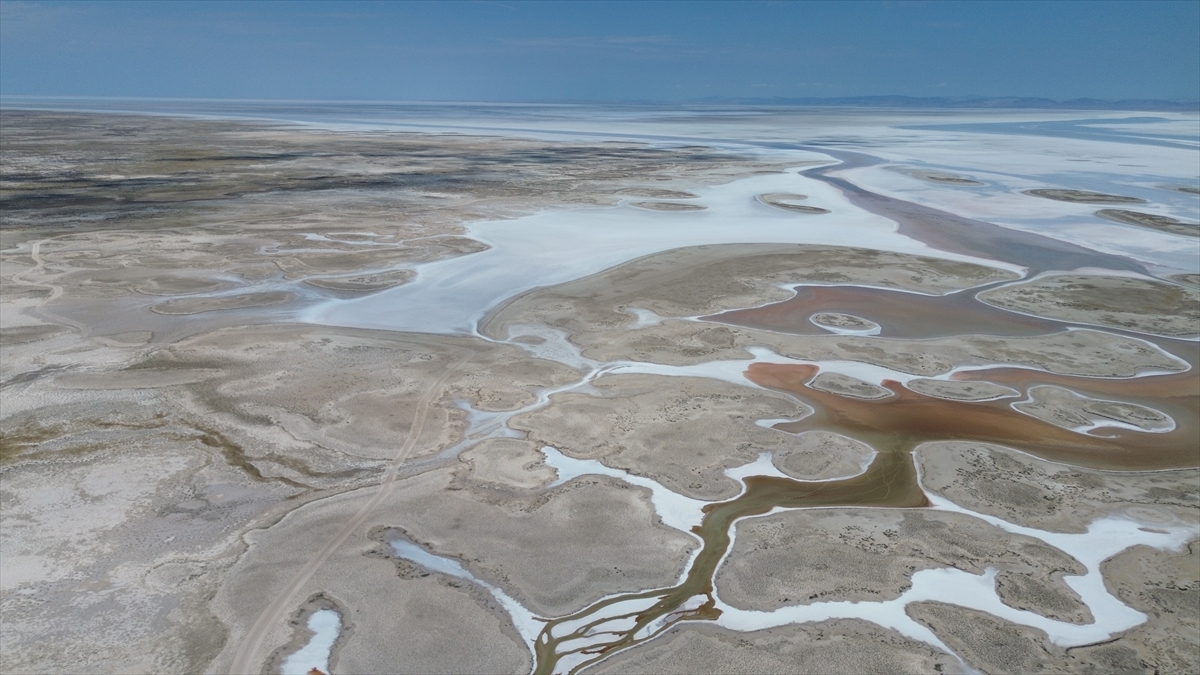 Tuz Gölü'nde yaşanan kuraklık biyolojik çeşitliliği de etkiliyor - Görsel 19