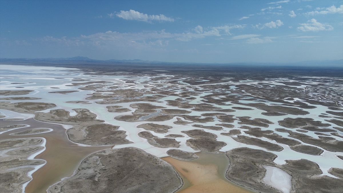 Tuz Gölü'nde yaşanan kuraklık biyolojik çeşitliliği de etkiliyor - Görsel 20