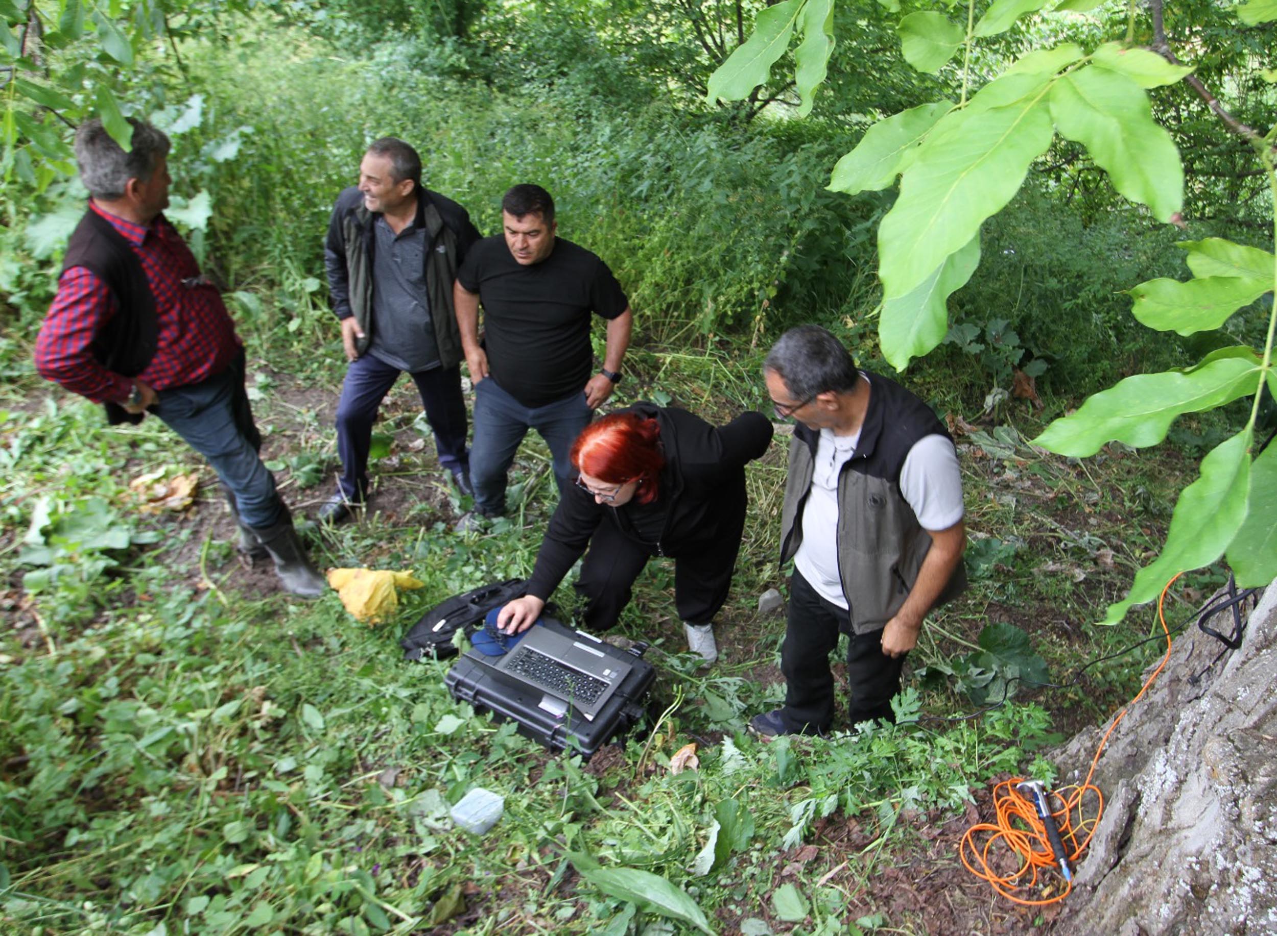 Erzurum - Oltu'daki ceviz ağacının 620 yaşında olduğu tespit edildi - Görsel 2