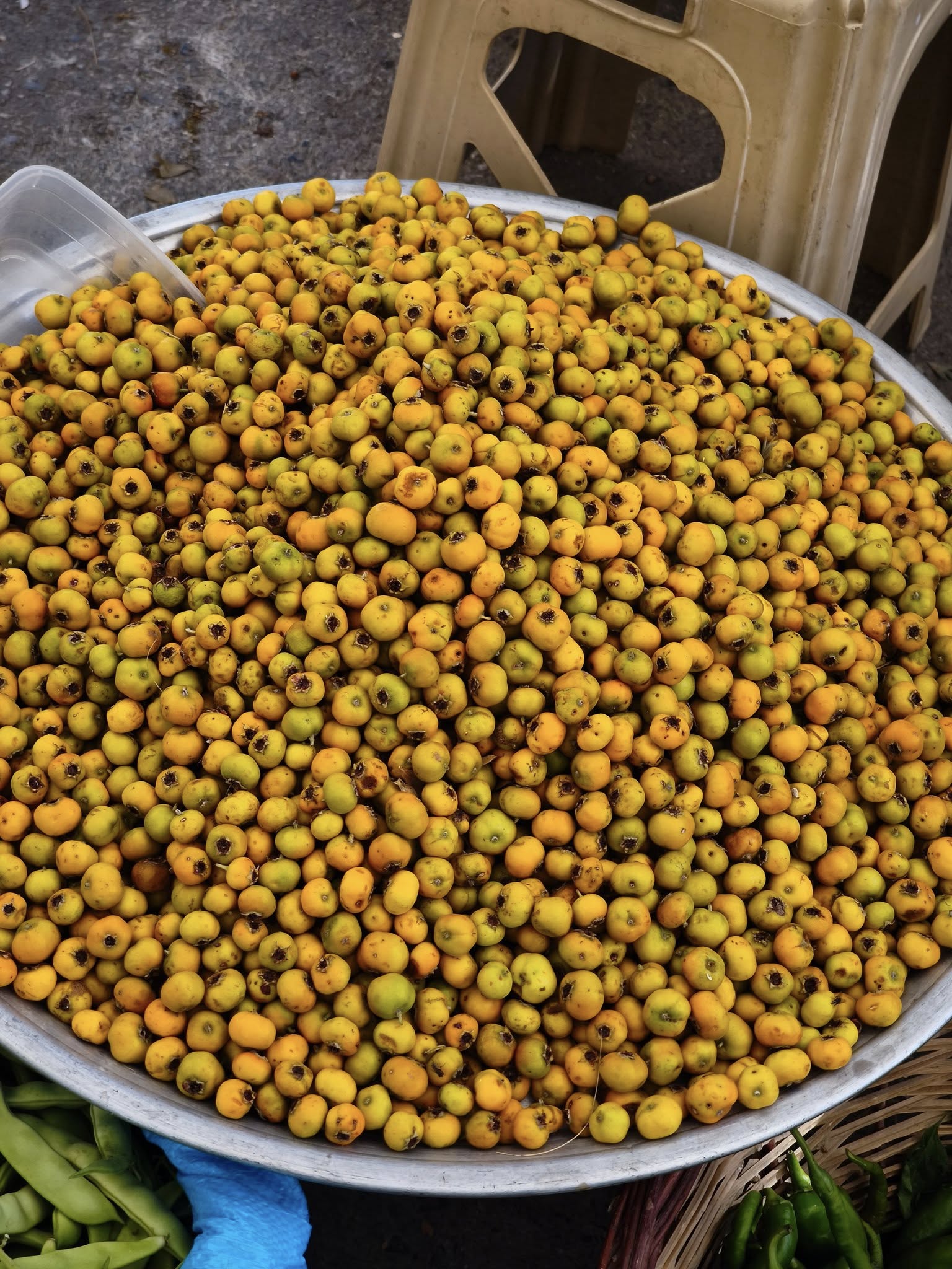 Alıç Meyvesine Yoğun İlgi:  - Görsel 1