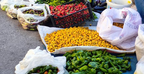 Alıç Meyvesine Yoğun İlgi:  - Görsel 3