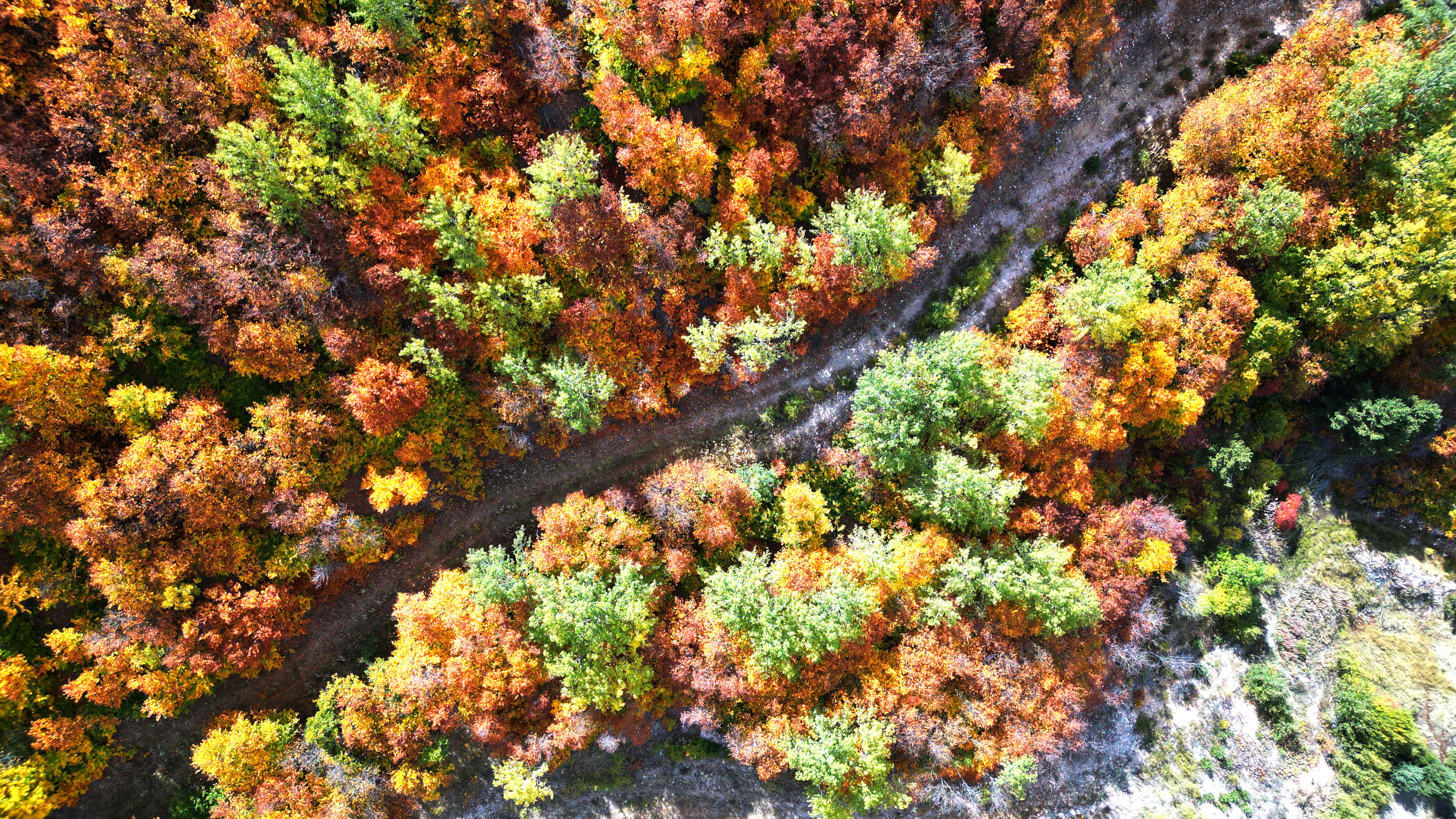 Sivas Geminbeli Geçidi'nde sonbahar renkleri fotohaber - Görsel 4