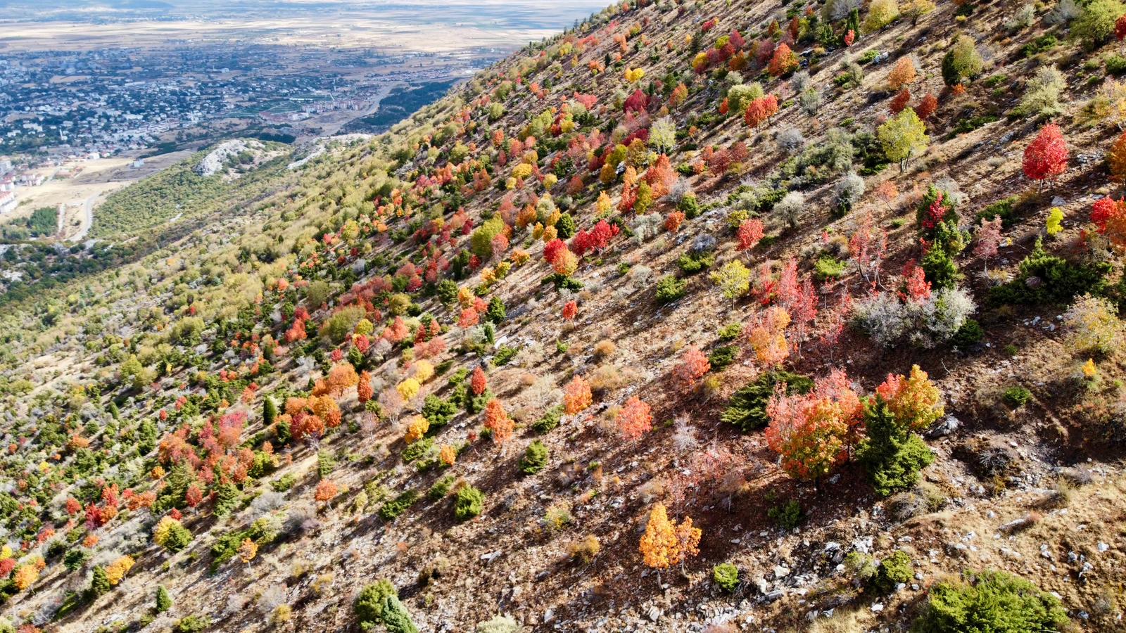 Küpe Dağı Eteklerinde Sonbahar Şöleni: Seydişehir Doğası Sarı ve Kırmızıya Büründü - Görsel 2