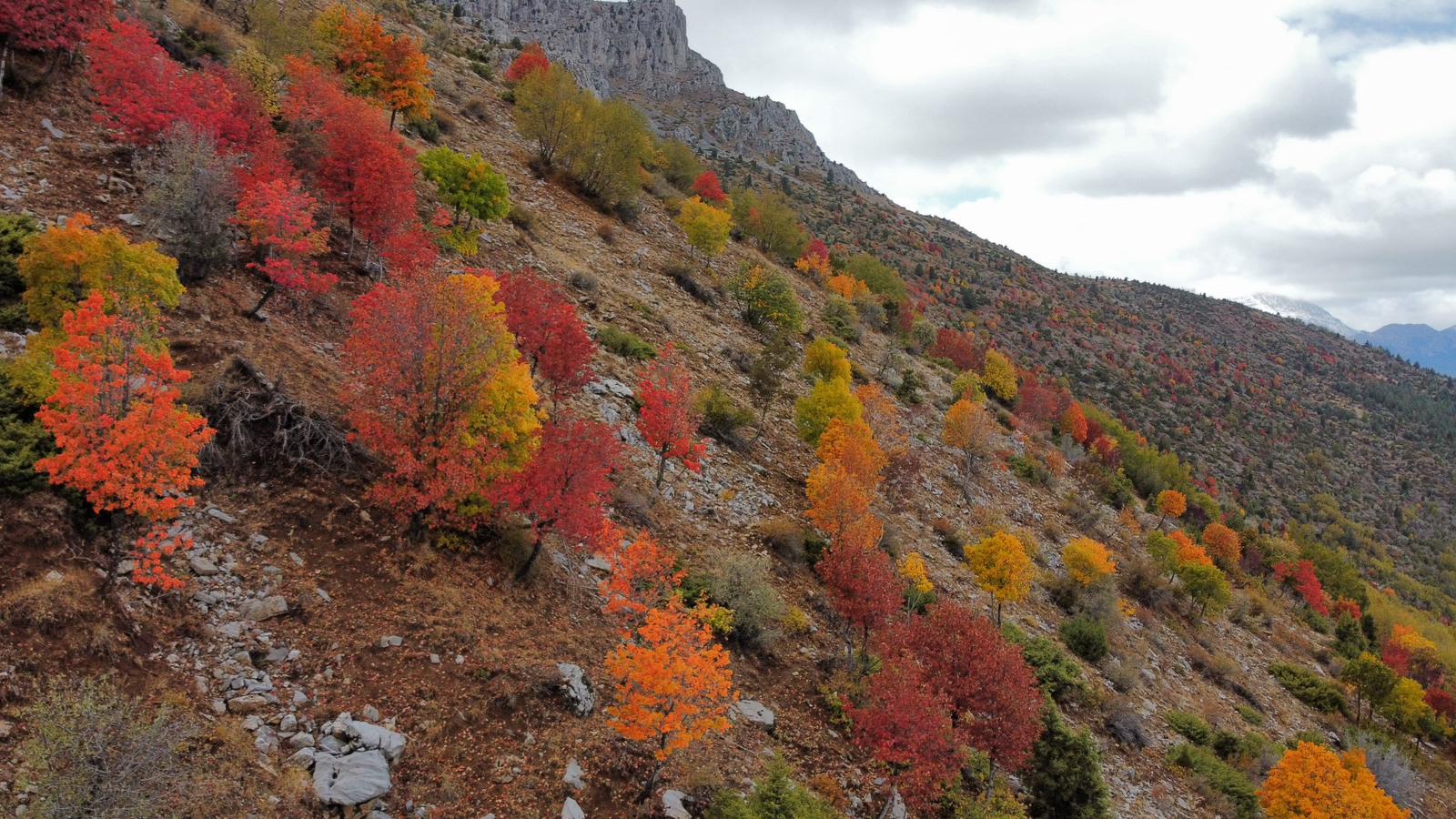 Küpe Dağı Eteklerinde Sonbahar Şöleni: Seydişehir Doğası Sarı ve Kırmızıya Büründü - Görsel 6