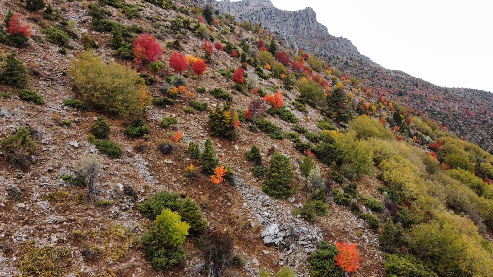 Küpe Dağı Eteklerinde Sonbahar Şöleni: Seydişehir Doğası Sarı ve Kırmızıya Büründü - Görsel 15