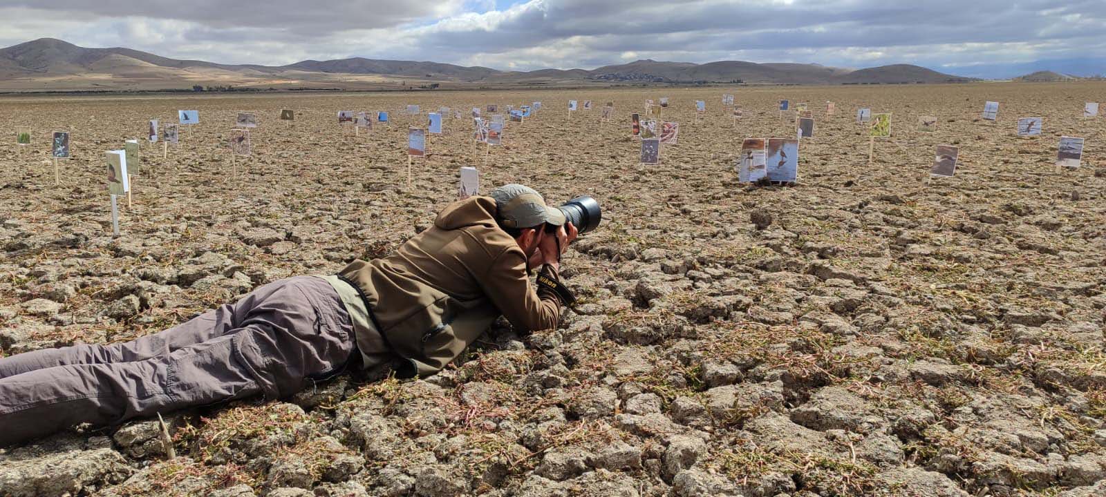 Konya- Kuruyan gölde,daha önce çekilen kuşların fotoğraflarıyla kuraklığa dikkat çektiler - Görsel 2