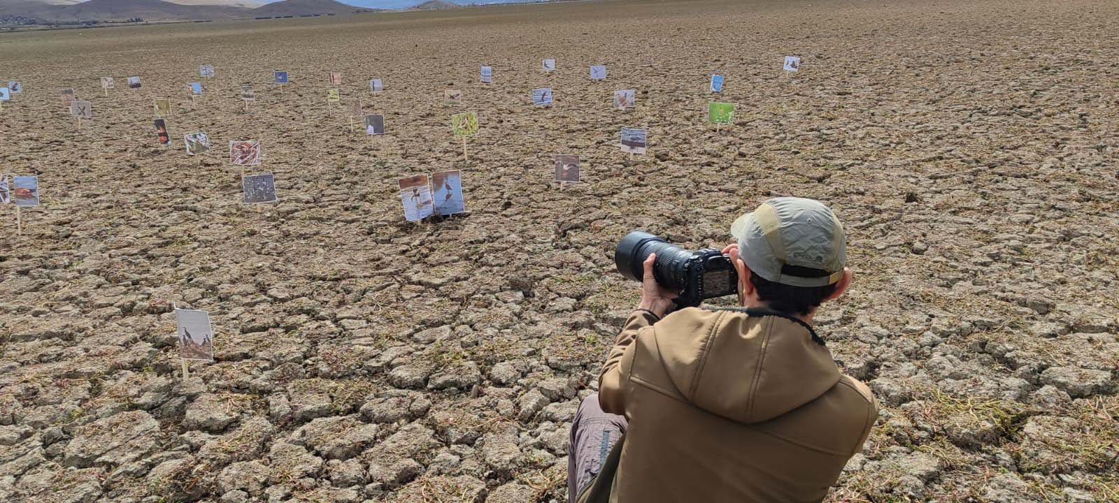 Konya- Kuruyan gölde,daha önce çekilen kuşların fotoğraflarıyla kuraklığa dikkat çektiler - Görsel 6