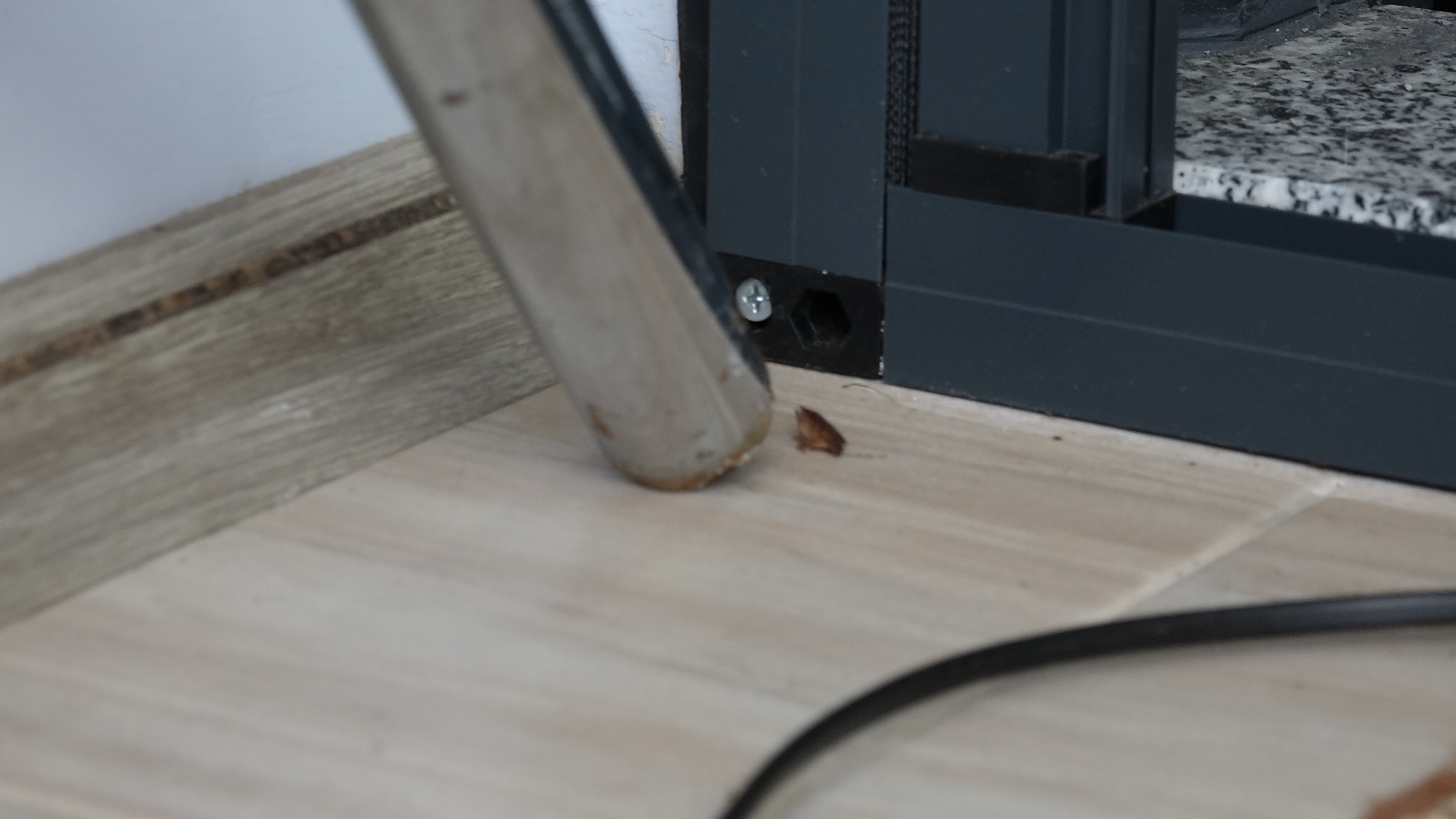 Prof. Dr. Özlü'den 'kahverengi kokarca'ya temas uyarısı - Görsel 5