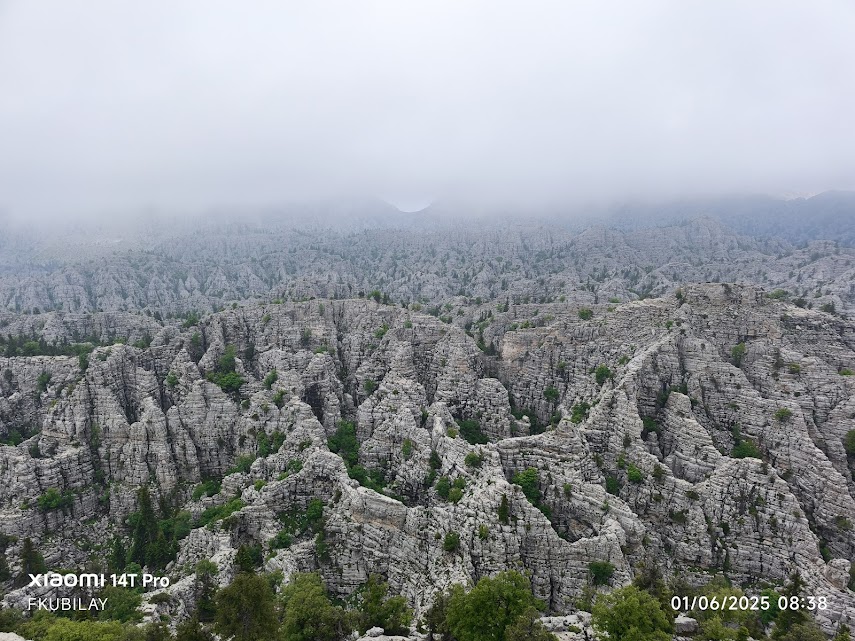 Dijital Çağda Yeni Efsaneler: Gizem Ekonomisi  ve Giden  Gelmez Dağları  - Görsel 1