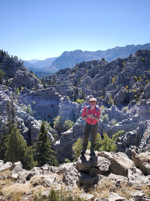 Dijital Çağda Yeni Efsaneler: Gizem Ekonomisi  ve Giden  Gelmez Dağları  - Görsel 14