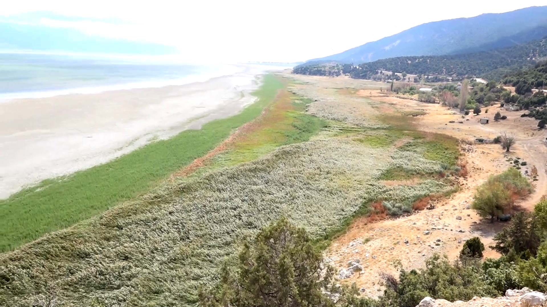 Suyu çekilince ikiye bölünen Eğirdir Gölü, hayvanların otlağı oldu - Görsel 3