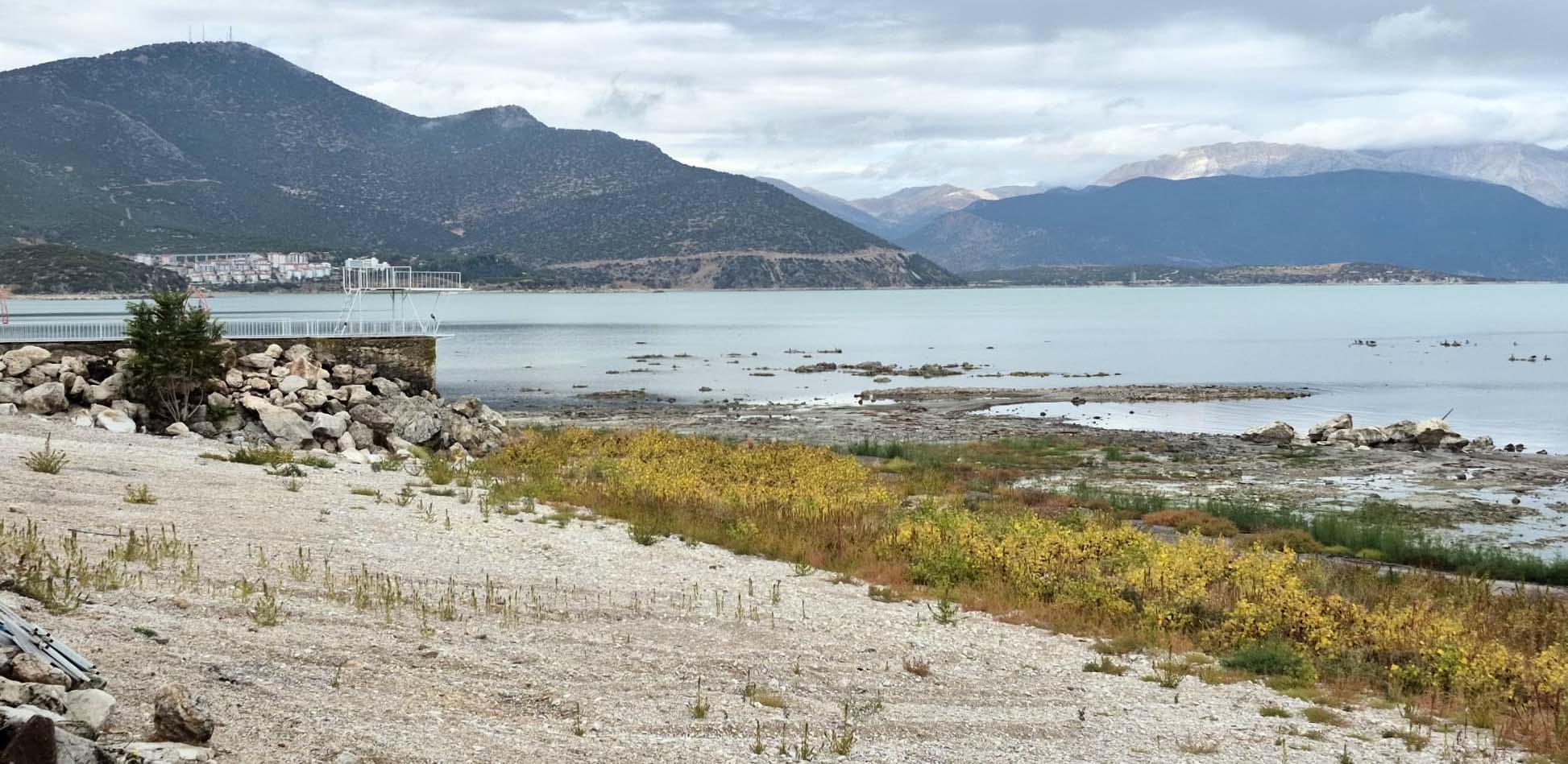 Suyu çekilince ikiye bölünen Eğirdir Gölü, hayvanların otlağı oldu - Görsel 5