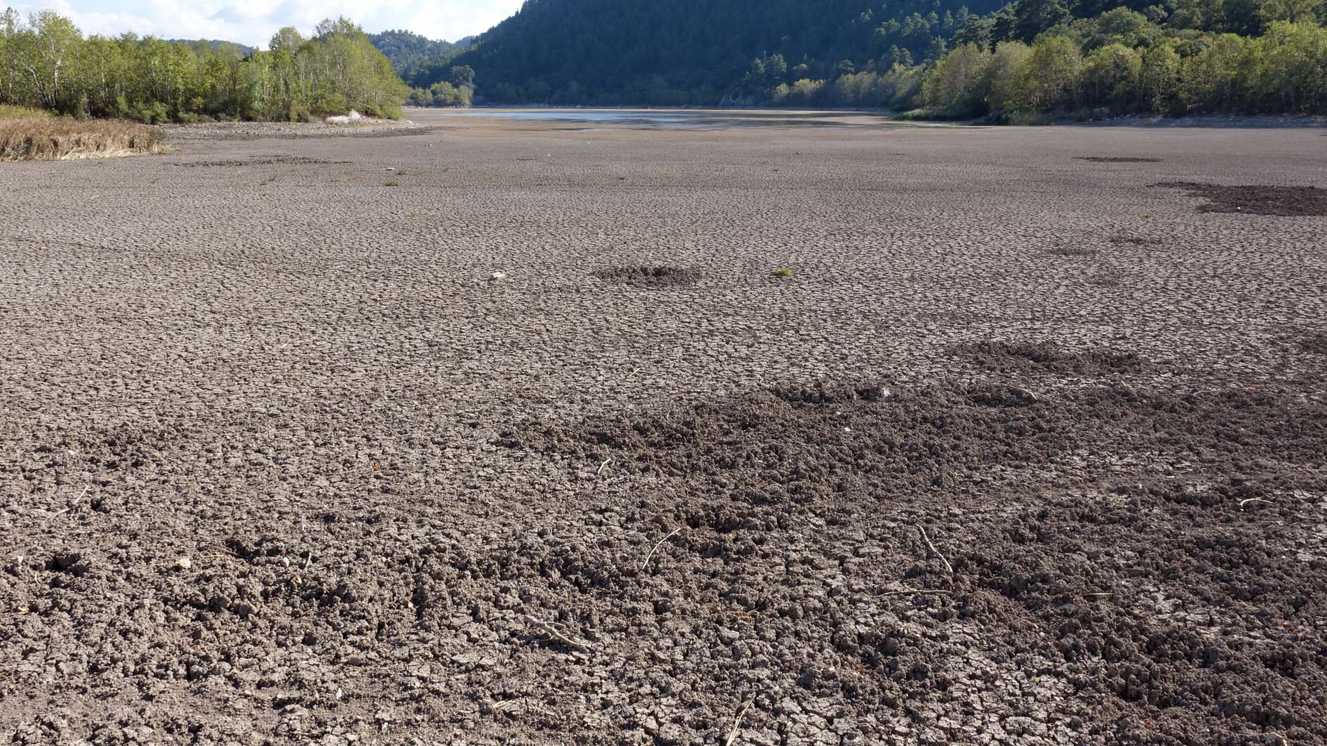 Suyu çekilince ikiye bölünen Eğirdir Gölü, hayvanların otlağı oldu - Görsel 7
