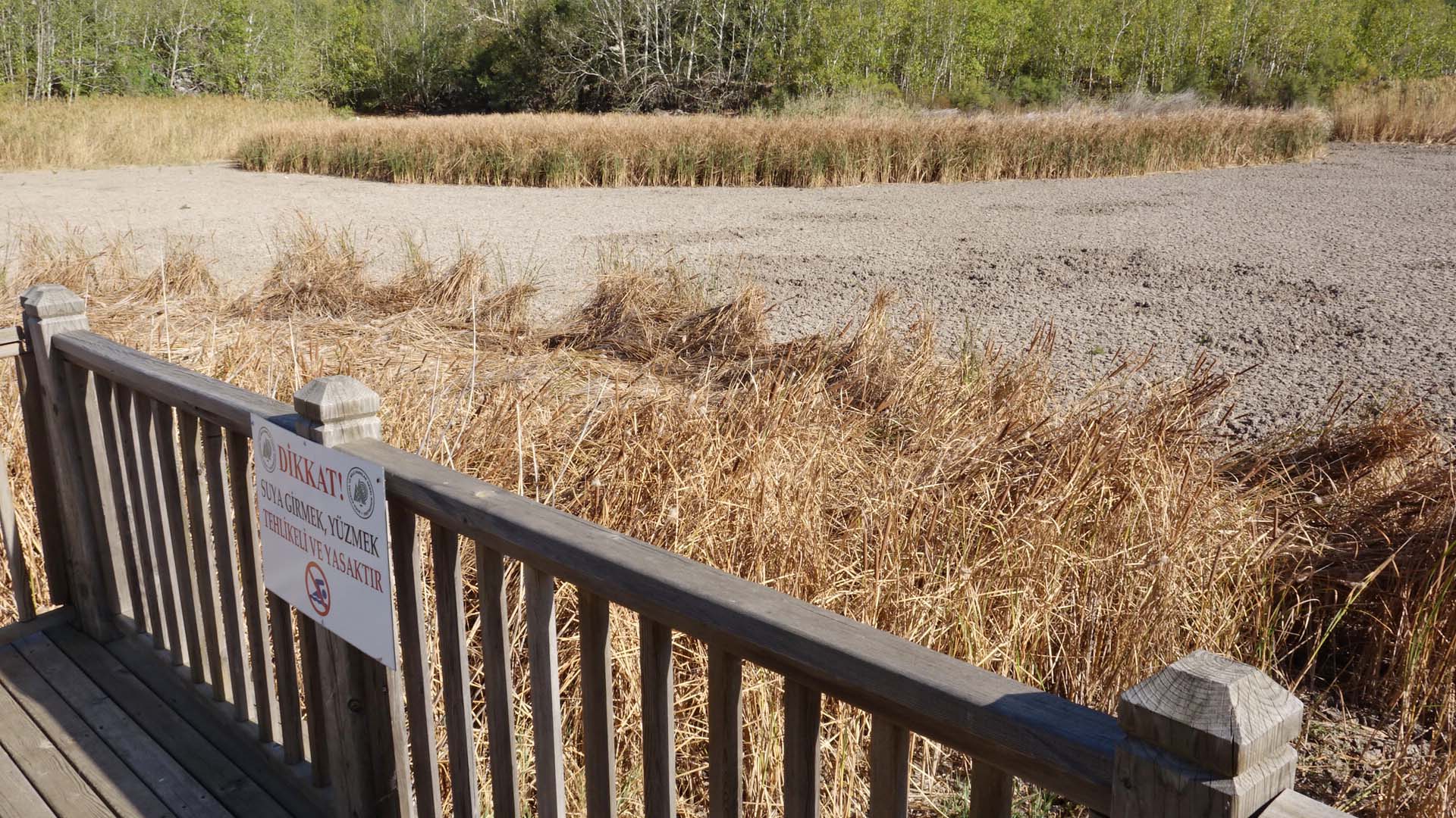 Suyu çekilince ikiye bölünen Eğirdir Gölü, hayvanların otlağı oldu - Görsel 8