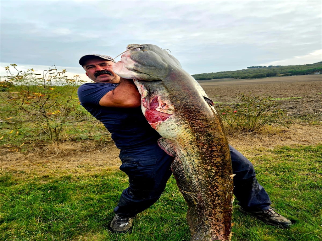 Tekirdağda Oltayla 70 kiloluk yayın yakaladı - Görsel 1