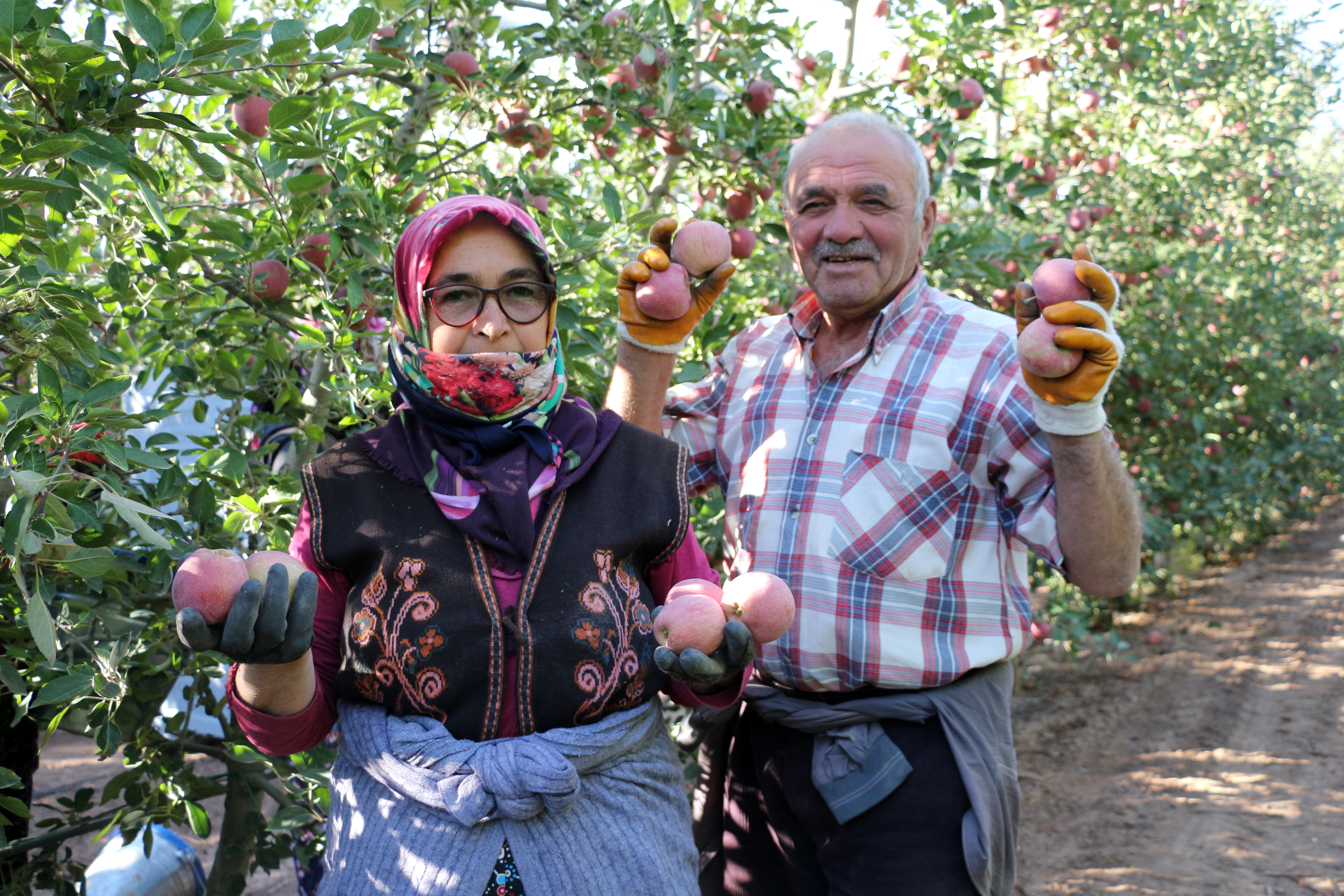 Isparta'da zirai don ve dolu zararı sonrası elmada rekolte beklentisi 800 bin ton - Görsel 3