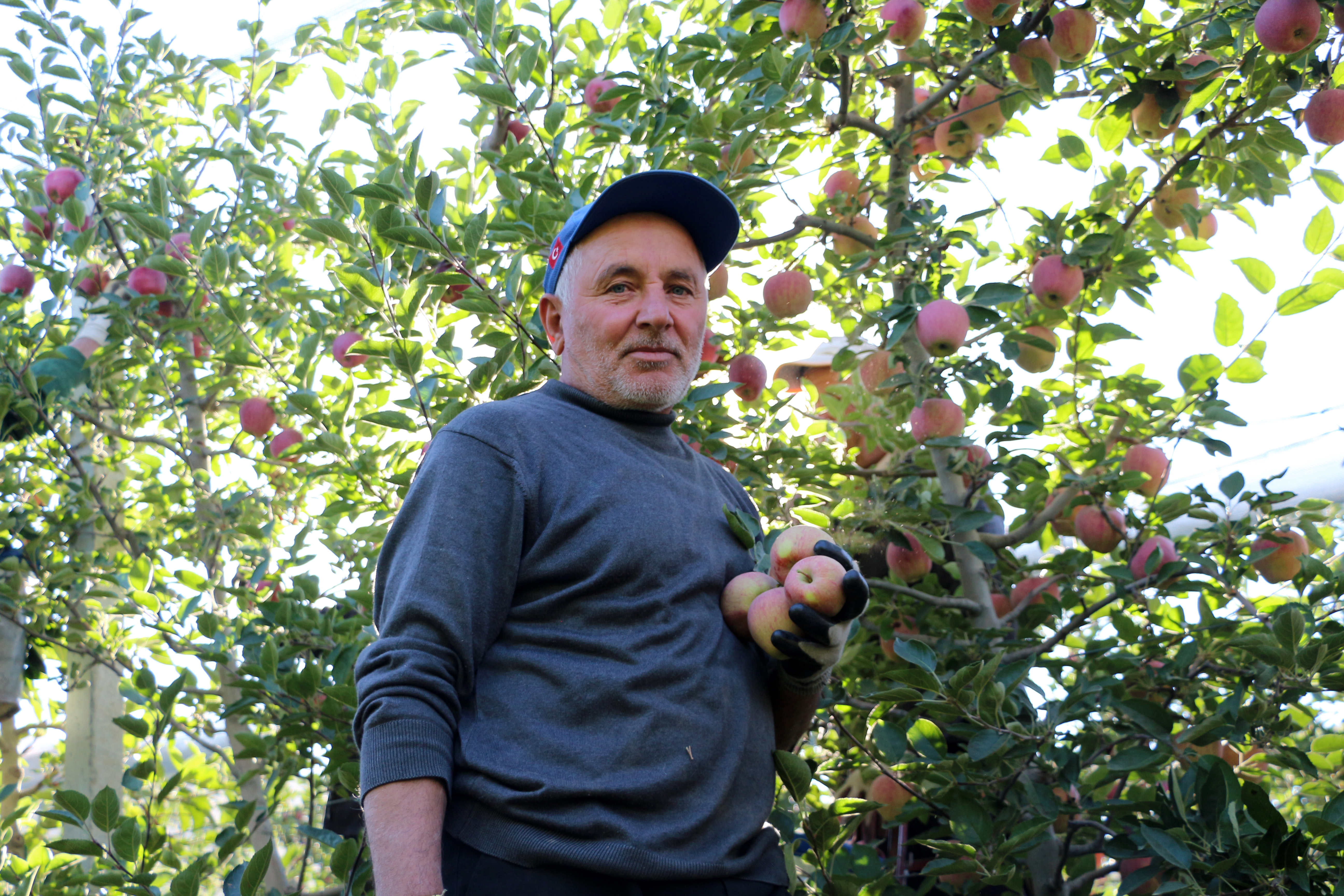 Isparta'da zirai don ve dolu zararı sonrası elmada rekolte beklentisi 800 bin ton - Görsel 4