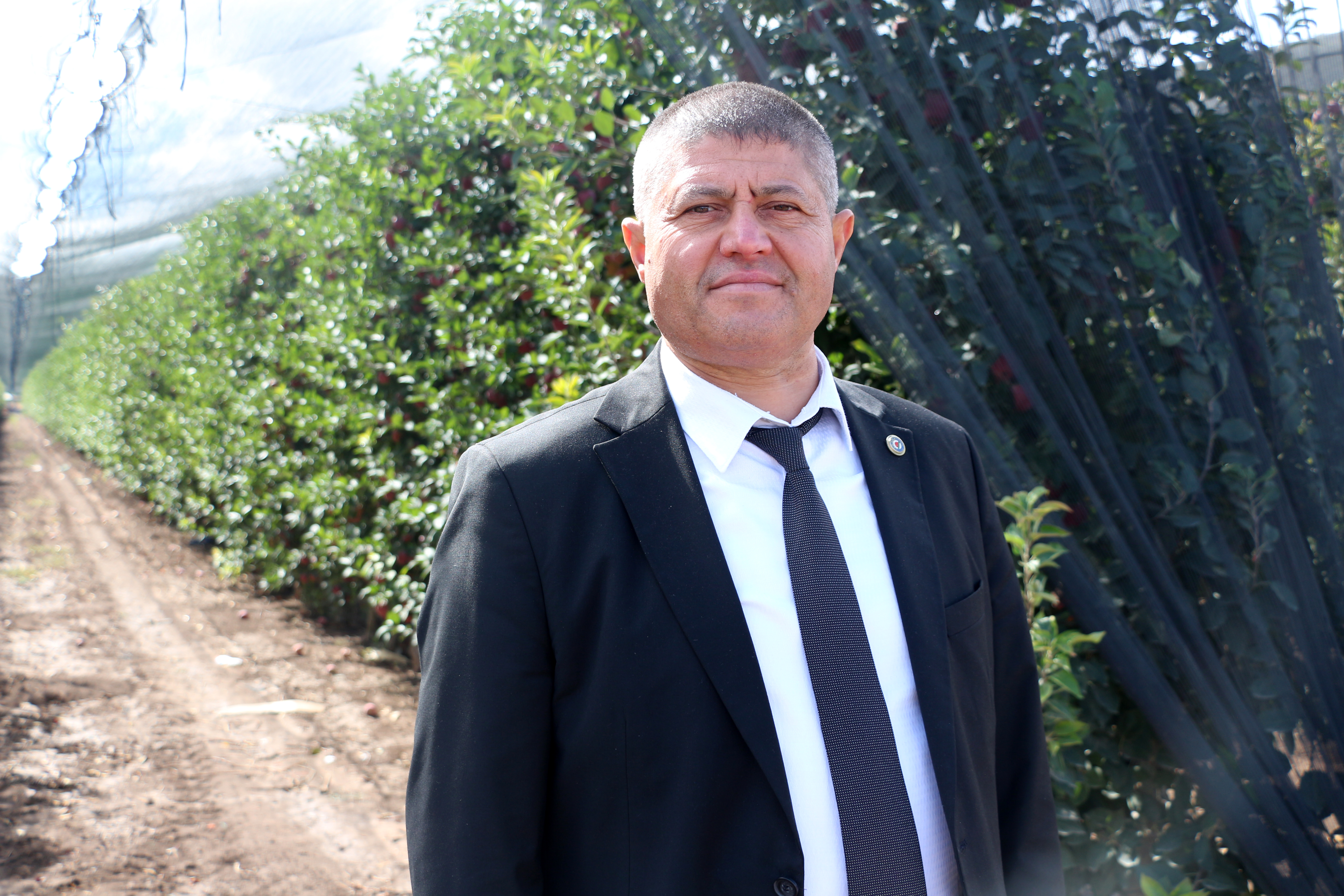 Isparta'da zirai don ve dolu zararı sonrası elmada rekolte beklentisi 800 bin ton - Görsel 7