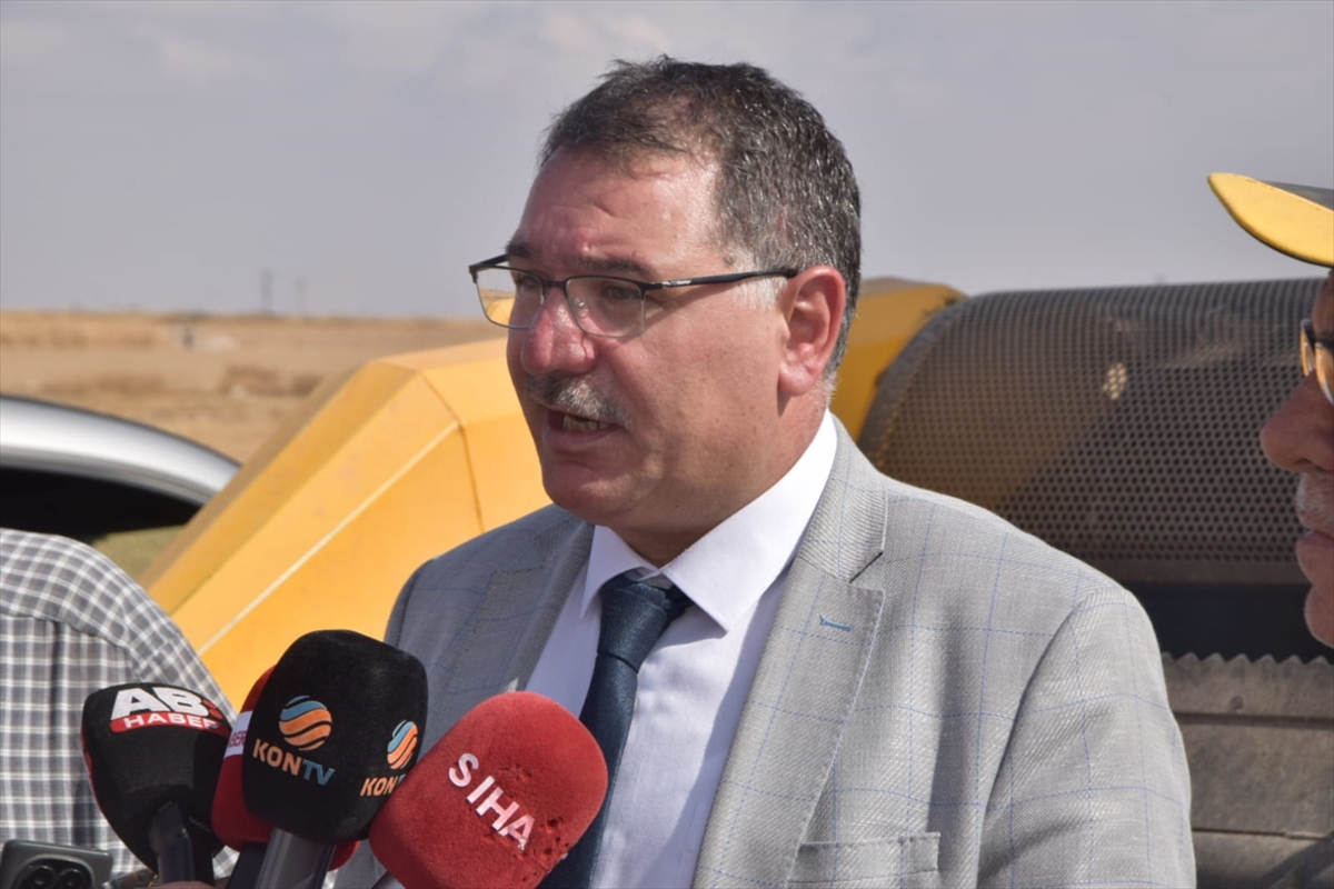 Konya'da endüstriyel kenevirin hasadı başladı - Görsel 2