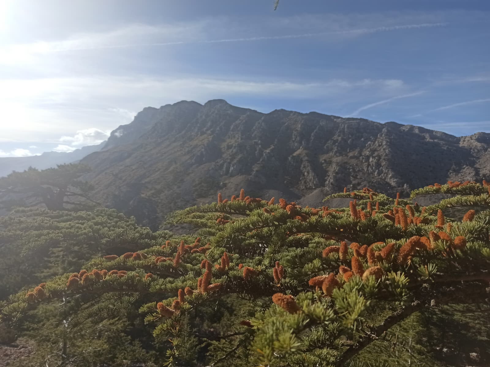 Seydişehirli Dağcılardan Coşkulu Cumhuriyet Tırmanışı - Görsel 2
