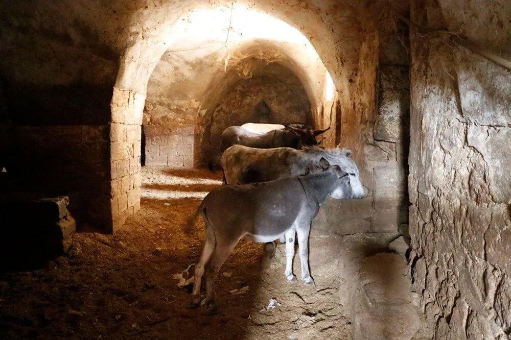 Mardin’de çöp taşıyan kadrolu eşekler emekli edilecek; yerlerine elektrikli paletli araçlar geliyor - Görsel 5