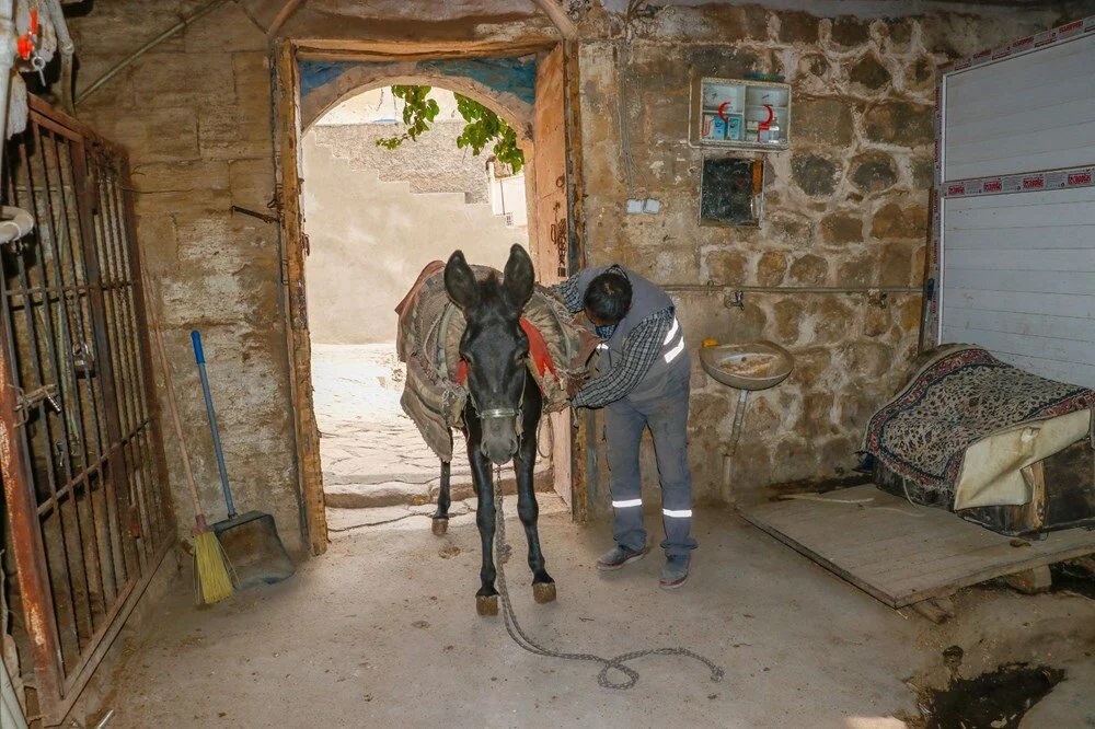 Mardin’de çöp taşıyan kadrolu eşekler emekli edilecek; yerlerine elektrikli paletli araçlar geliyor - Görsel 7