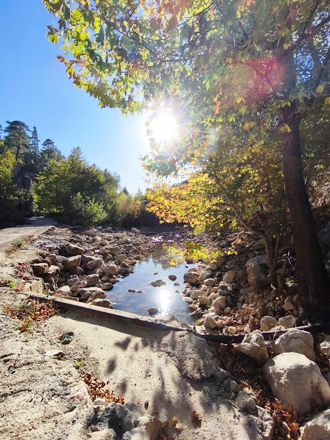 Toroslar'ın İncisi Üzümdere Irmağı Kurudu:  - Görsel 1