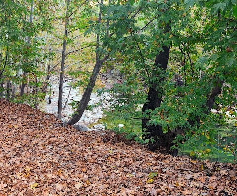 Toroslar'ın İncisi Üzümdere Irmağı Kurudu:  - Görsel 3