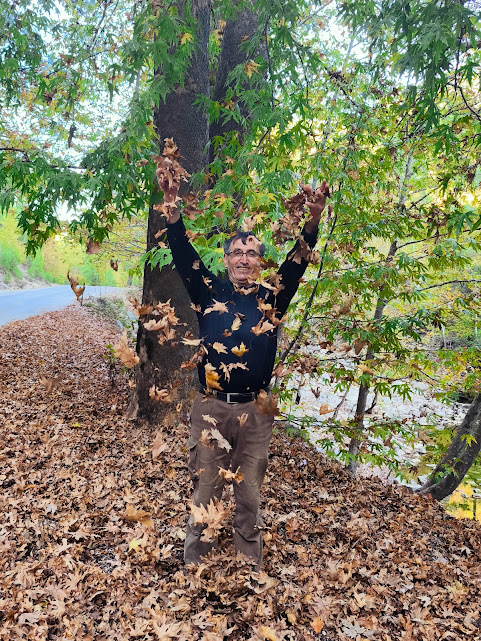 Toroslar'ın İncisi Üzümdere Irmağı Kurudu:  - Görsel 7