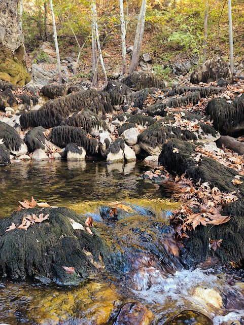 Toroslar'ın İncisi Üzümdere Irmağı Kurudu:  - Görsel 8