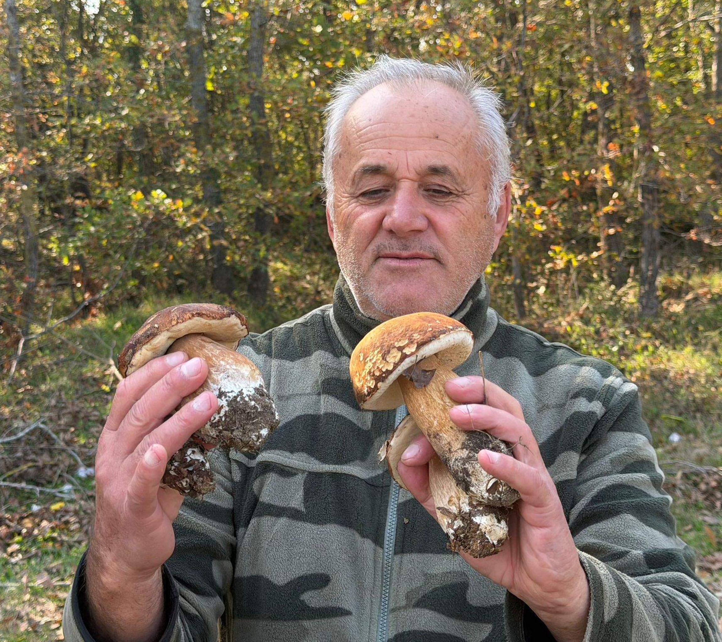 Kuraklık nedeniyle Istranca Ormanları’nda mantar popülasyonu azaldı, kilosu 500 TL’ye çıktı - Görsel 1