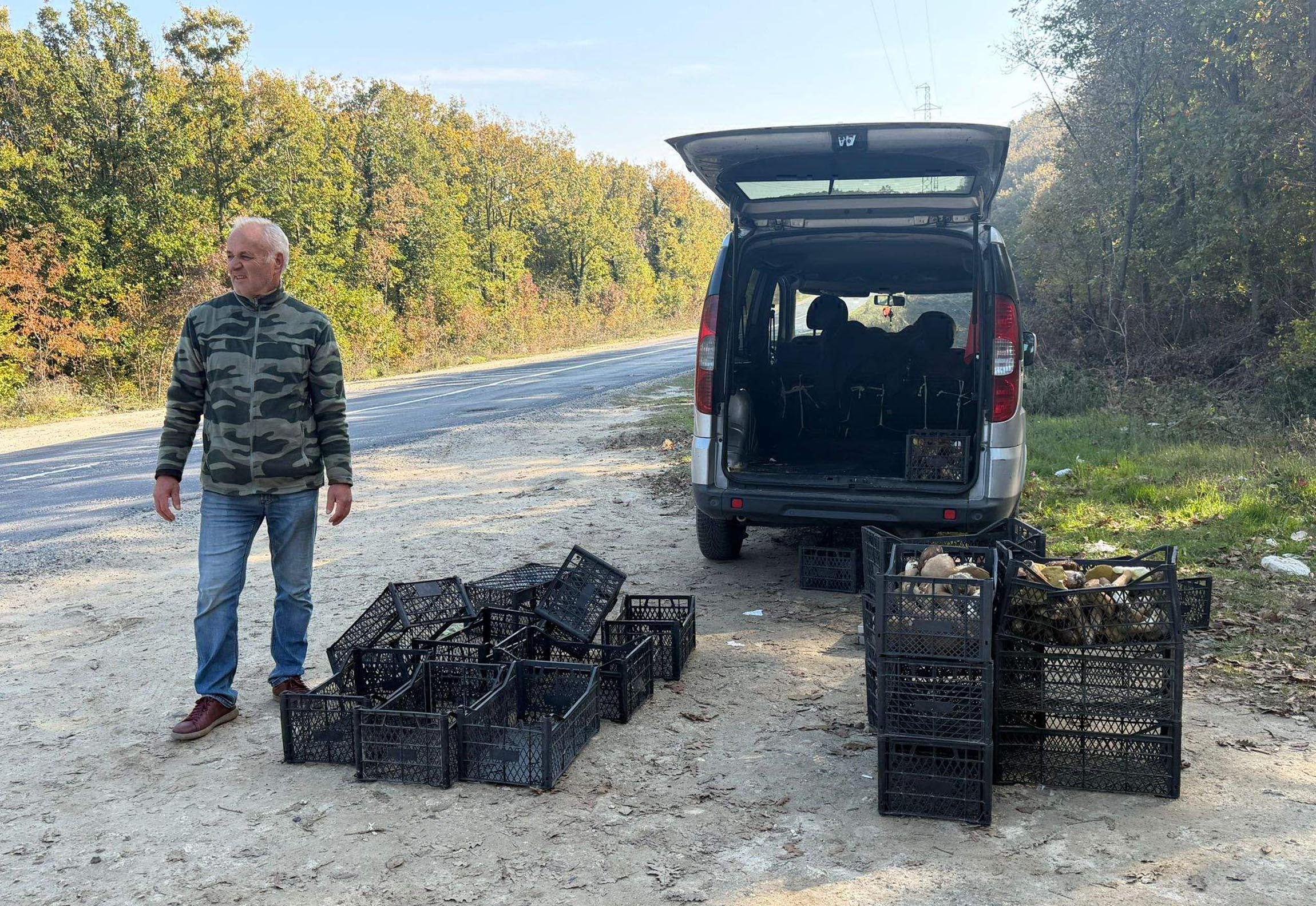 Kuraklık nedeniyle Istranca Ormanları’nda mantar popülasyonu azaldı, kilosu 500 TL’ye çıktı - Görsel 7