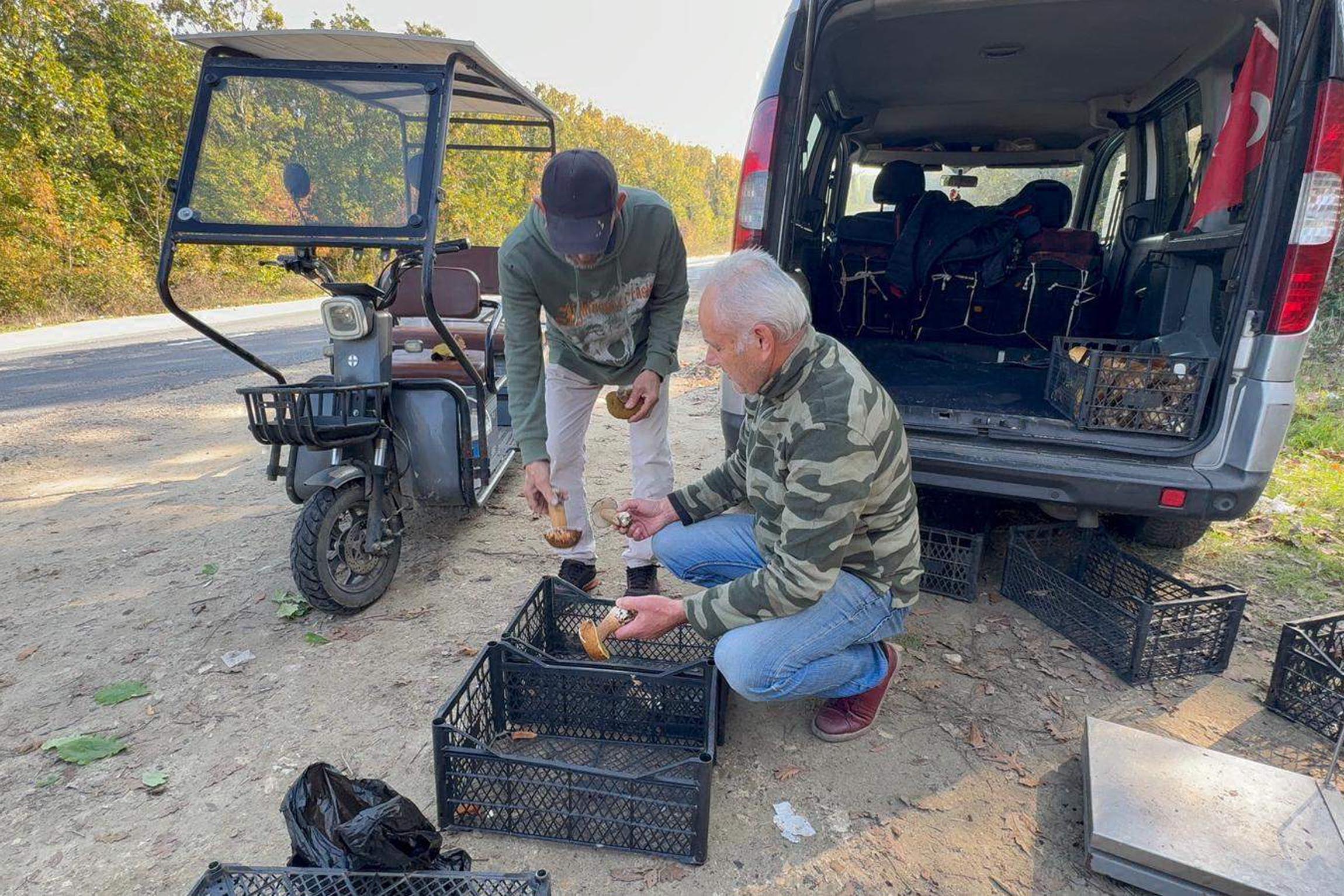 Kuraklık nedeniyle Istranca Ormanları’nda mantar popülasyonu azaldı, kilosu 500 TL’ye çıktı - Görsel 8