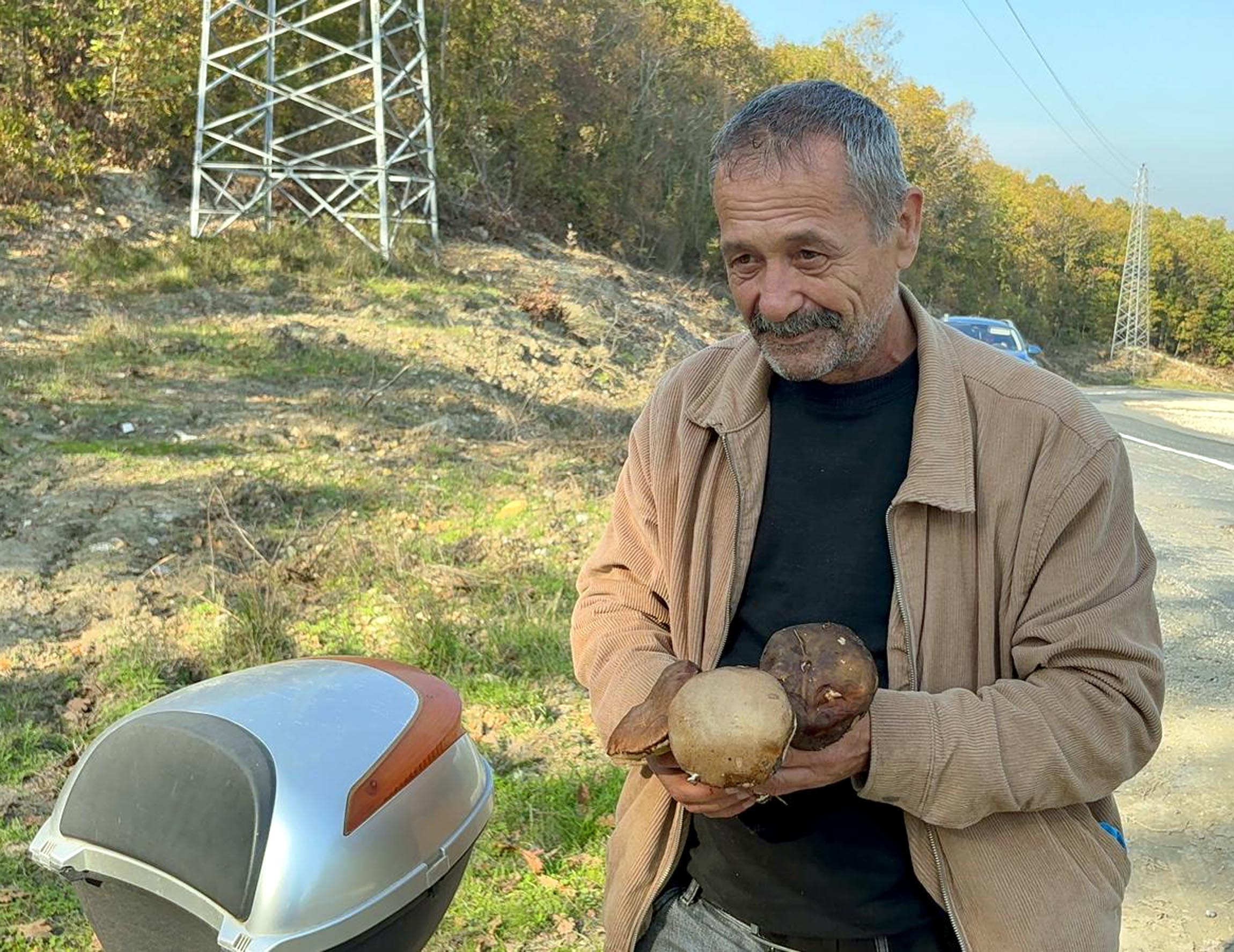 Kuraklık nedeniyle Istranca Ormanları’nda mantar popülasyonu azaldı, kilosu 500 TL’ye çıktı - Görsel 11