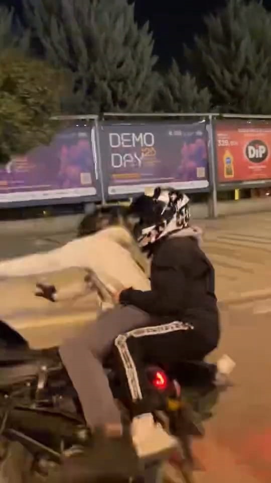 Ön tekerini kaldırmak istediği motosikleti devirdi; kaza anı kamerada - Görsel 1